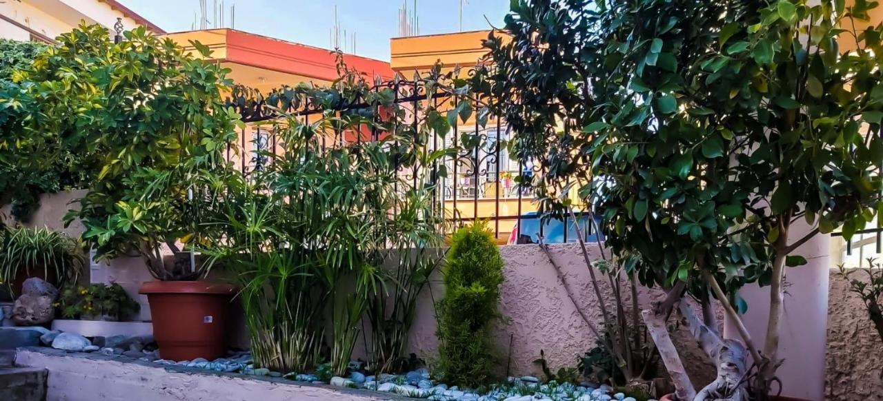 West Garden At Aigio By Greece Apartments Exteriér fotografie